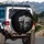 Black Spotted Snow Leopards Fierce Snarl Portrait - Wildlife Lover Gift for Animal Lover Spare Tire Cover - 3