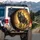 Majestic Golden Wolf Cub Guardian - Fantasy Lover Gift Spare Tire Cover - 3