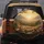 Majestic Tiger Cubs Golden Hour Landscape Tropical Foliage - Wildlife Lover Gift Spare Tire Cover - 5