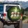 Cream Brown Shih Tzu Dogs Green Park Scene - Pet Owner Car Accessory Gift Spare Tire Cover - 3