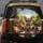 Five Chihuahua Dogs Sun-Drenched Green Landscape - Dog Lover Travel Accessory Gift Spare Tire Cover - 5
