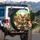 Five Chihuahua Dogs Sun-Drenched Green Landscape - Dog Lover Travel Accessory Gift Spare Tire Cover - 3