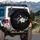 Grateful White Lily Flower Botanical Vines - Home Decor Gift Spare Tire Cover - 3