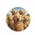 Smiling Golden Retriever Dog Group - Sunny Road Trip Adventure Gift for Dog Lovers Spare Tire Cover - 4