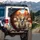 Pit Bull Dogs Car Ride Autumn Landscape - Open Road Adventure Gift for Dog Lovers Spare Tire Cover - 3