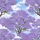 Lavender Jacaranda Tree Landscape - Outdoor Travel Gift for Nature Lovers Spare Tire Cover - 6