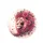 Lion Fuchsia Dahlia Flowers Botanical Tapestry - Home Decor Gift for Botanical Lover Spare Tire Cover - 4
