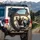 Black Cat Tuxedo Cat Car Interior Landscape - Road Trip Gift for Cat Lover Spare Tire Cover - 3