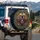 Roaring Bear Gold Filigree Cosmic Nebula - Wildlife Lover Gift Spare Tire Cover - 3