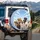 Joyful Dog Pack Blue Sky Clouds - Outdoor Adventure Travel Gift for Pet Owners Spare Tire Cover - 3