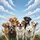 Joyful Dog Pack Blue Sky Clouds - Outdoor Adventure Travel Gift for Pet Owners Spare Tire Cover - 6