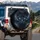 Piercing Luminous Electric Blue Feline Eyes Dark Fur - Wildlife Cat Lover Gift Spare Tire Cover - 3