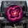 Polished Fuchsia Magenta Royal Purple Agate Cross Section Geode - Geology Lover Gift Spare Tire Cover - 1