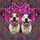 Staffordshire Terriers Paisley Mandala Crystals - Dog Lover Gift Spare Tire Cover - 6