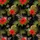 duiyfppz/products/6a1b9571c783fb68d4a9ac20/gallery/5ZqQp7lL_d