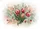 duiyfppz/products/6a1d5c1d251d1a86803f57e2/gallery/MBQG3CXYvc