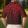 duiyfppz/products/6a1d5ce3ac42041da737497a/gallery/731Vlxr-Pf