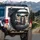 Three Tabby Cats Car Ride Urban Cityscape - Cat Lover Home Decor Gift Spare Tire Cover - 3