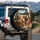 Four Bloodhound Dogs Driving Country Road Trip - Vehicle Accessory for Dog Lovers Spare Tire Cover - 3