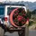 Botanical Red Cherry Clusters Green Leaves Black Field - Everyday Display Spare Tire Cover - 3