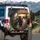 Black Cats Vintage Car Road Trip Sunset Hills - Cat Lover Travel Essentials Gift Spare Tire Cover - 3