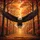 Majestic Bald Eagle Soaring Fiery Golden Autumn Forest Canopy - Wildlife Lover Gift Spare Tire Cover - 6