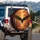 Majestic Bald Eagle Soaring Fiery Golden Autumn Forest Canopy - Wildlife Lover Gift Spare Tire Cover - 3