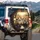 Tabby Cats Licking Nose Grinning Steering Wheel Plush Seating - Road Trip Adventure Gift Spare Tire Cover - 3