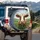 Friendly Brown Cow Wildflower Meadow - Farmhouse Decor Gift for Cow Lover Spare Tire Cover - 3