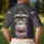 duiyfppz/products/6a1d611dac42043d4a375fb5/gallery/d4cnWgHJ1z