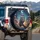 Realistic Owl Gnarled Branch Crescent Moon Night Sky - Wildlife Lover Gift Spare Tire Cover - 3