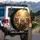 Fluffy Yelling Tabby Cats Sunglasses Lush Foliage - Wildlife Lover Gift Spare Tire Cover - 3