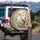 White Lion Daisies Botanical Butterflies - Wildlife Lover Gift Spare Tire Cover - 3
