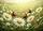 duiyfppz/products/6a1d6229d33399bb25e420b0/gallery/hb8Yefj-_K