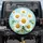 Multiple Pristine White Daisy Yellow Center Water Droplets - Garden Lover Gift Spare Tire Cover - 1