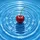 Glossy Red Cherry, Clear Blue Water Ripples, Light Reflections - Travel Essentials Gift Spare Tire Cover - 6