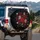 Red Roses Butterflies Glitter Hearts Home Decor Gift for Garden Lover Spare Tire Cover - 3