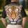 duiyfppz/products/6a1d633518387426b86d44a4/gallery/zJYZhCQyG_