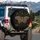 Moth Celestial Gold Filigree Stars Moon - Home Decor Gift for Moth Lover Spare Tire Cover - 3