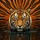 Bengal Tiger Face Emerging from Water with Striped Fur - Wildlife Lover Gift Spare Tire Cover - 6