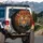 Bengal Tiger Face Emerging from Water with Striped Fur - Wildlife Lover Gift Spare Tire Cover - 3