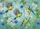 duiyfppz/products/6a1d649d251d1a026c3f87eb/gallery/HwQqS3hrR-