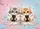duiyfppz/products/6a1d68325dda0433e4c60029/gallery/rdbIXZu76-