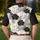 duiyfppz/products/6a1d6fb8ac42046a2337893c/gallery/JX3wCnAISi