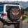 Majestic Symmetrical Owl Face Textured Feathers Woven Texture - Wildlife Lover Gift Spare Tire Cover - 3