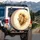 Lion Head Serene Profile Golden Mane - Wildlife Lover Gift Spare Tire Cover - 3