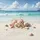 Seashells Starfish Ocean Tropical Beach - Coastal Lifestyle Outdoor Decor Spare Tire Cover - 6
