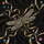Jeweled Dragonfly Sparkling Gemstones Golden Ribbons - Vehicle Decor Gift Spare Tire Cover - 6