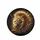 Regal Lion Golden Crown Golden Mane Cosmic Expanse - Wildlife Lover Gift for Lion Lover Spare Tire Cover - 4
