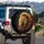 Regal Lion Golden Crown Golden Mane Cosmic Expanse - Wildlife Lover Gift for Lion Lover Spare Tire Cover - 3